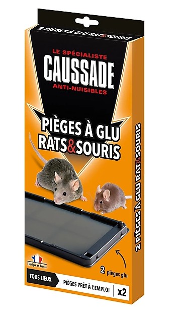 piege rat, piege rat efficace, tube glu rat, piege souris