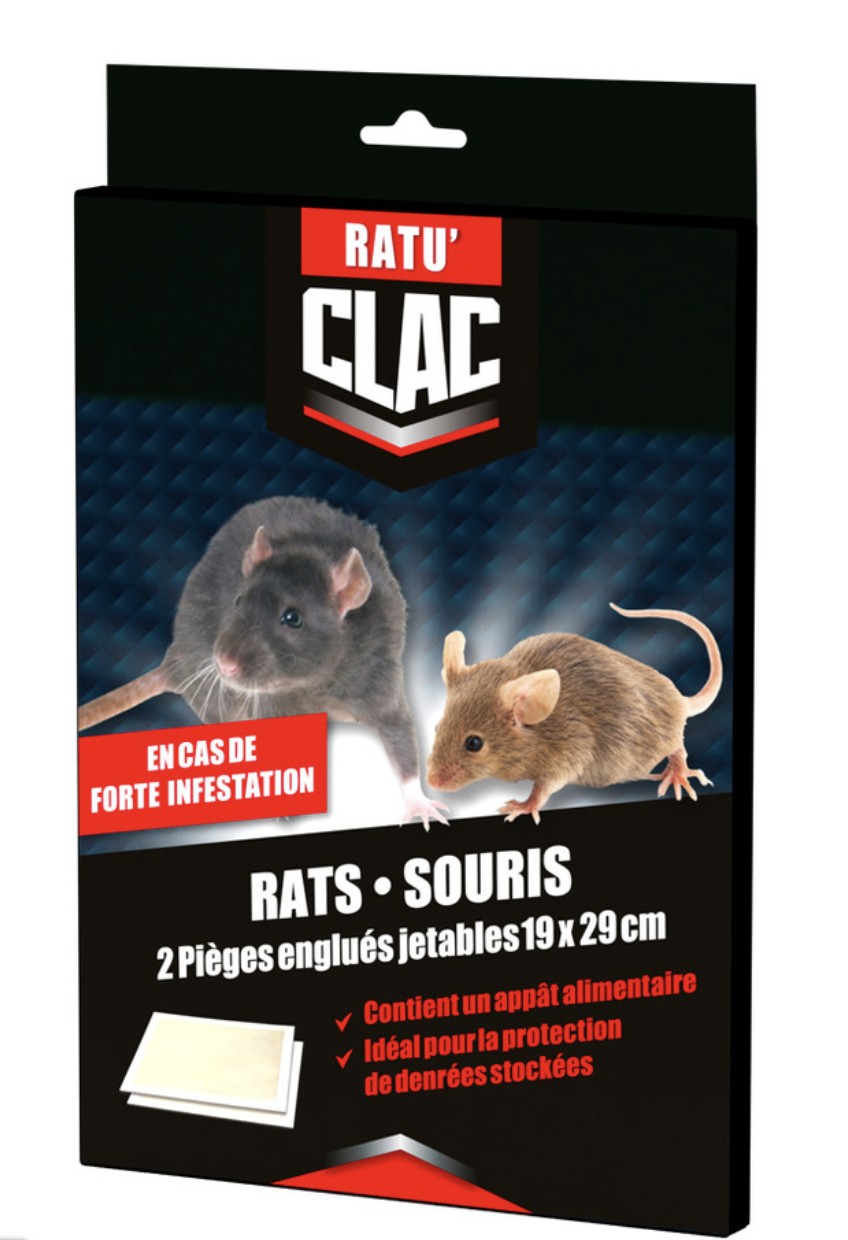 piege rat, piege rat efficace, tube glu rat, piege souris